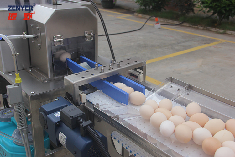 201A Egg washer